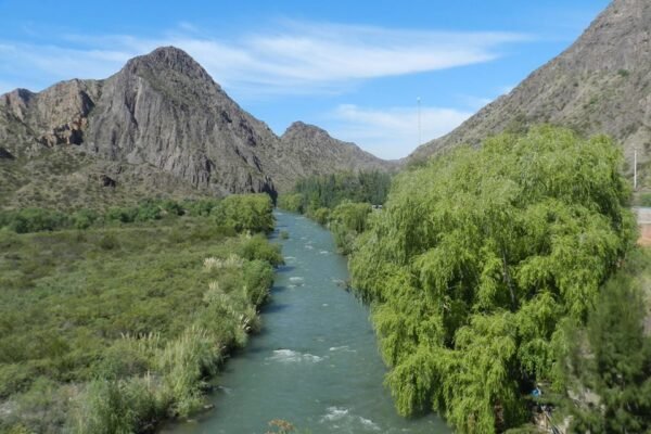 12928226_1554249601534024_2587237857546188404_n