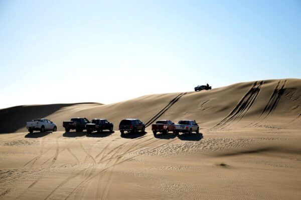 14714848_10209034109442606_2817828151253682598_o