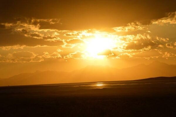 17553534_10208966927875730_2363776698281901749_n