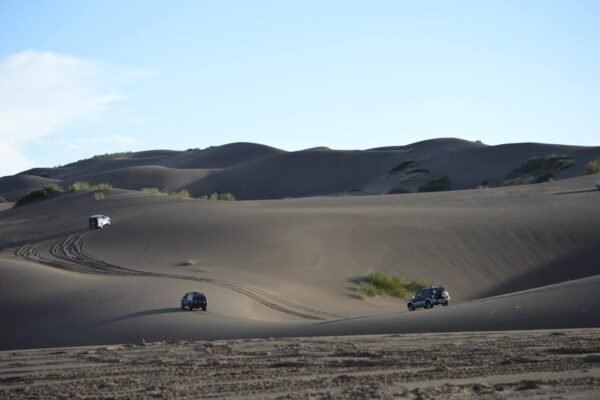 17622063_10208967575971932_2771114008790818360_o