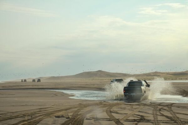 31698890_10213908757785768_2695084646730825728_n