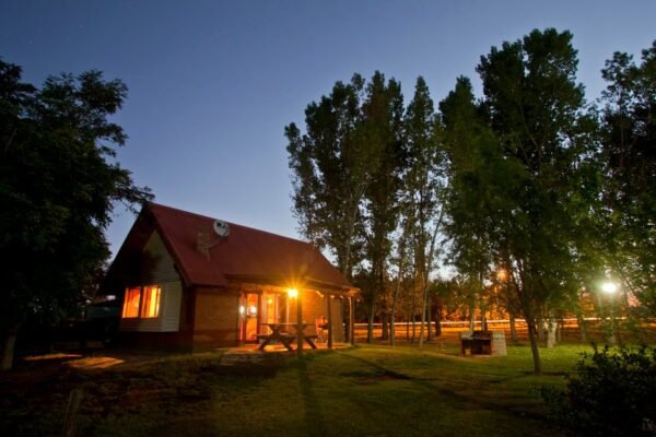 430609_124256931036756_1446624679_n