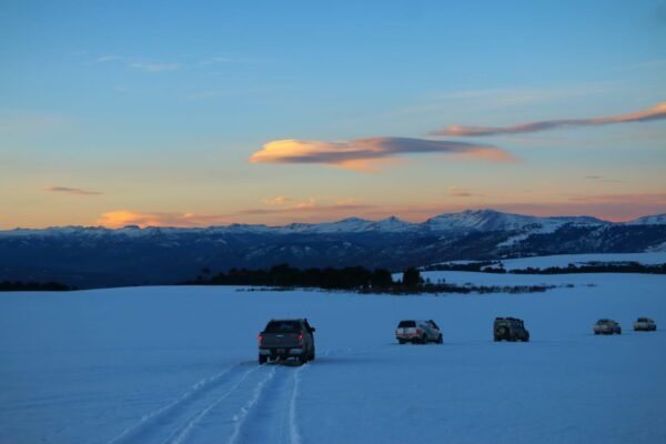 489447266_3667449726880657_6406778762843943715_n