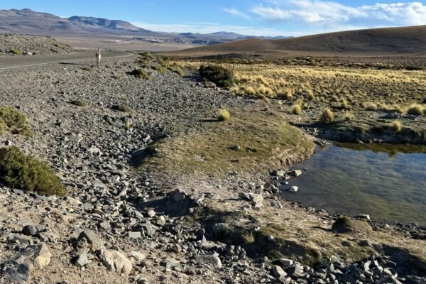 WhatsApp Image 2025-10-06 at 14.54.06 - copia