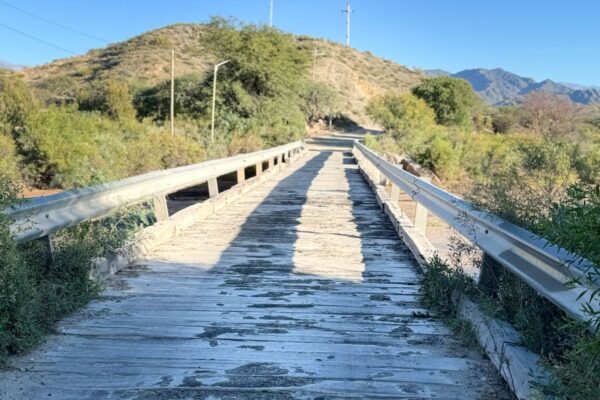 WhatsApp Image 2025-10-06 at 14.54.49