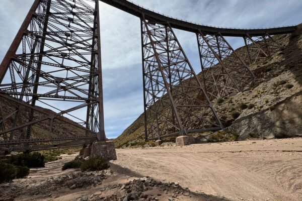 WhatsApp Image 2025-10-06 at 14.54.52