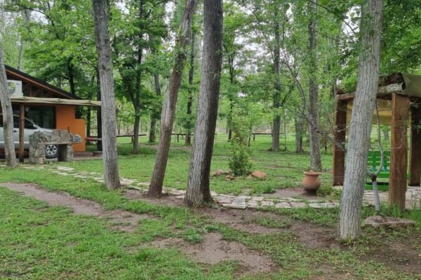 WhatsApp Image 2025-12-26 at 1.49.51 PM