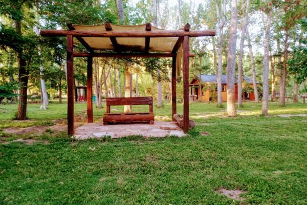 WhatsApp Image 2025-12-26 at 1.50.56 PM