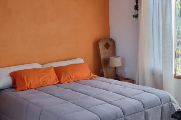 WhatsApp Image 2025-12-26 at 1.52.34 PM