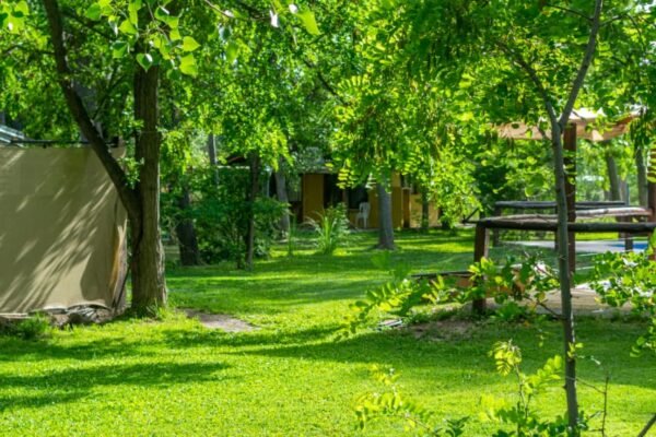 WhatsApp Image 2025-12-26 at 1.53.15 PM