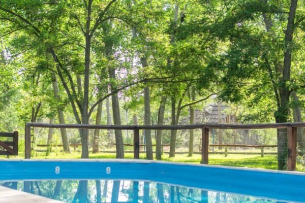 WhatsApp Image 2025-12-26 at 1.53.17 PM