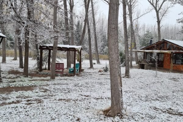 WhatsApp Image 2025-12-26 at 1.54.08 PM (1)