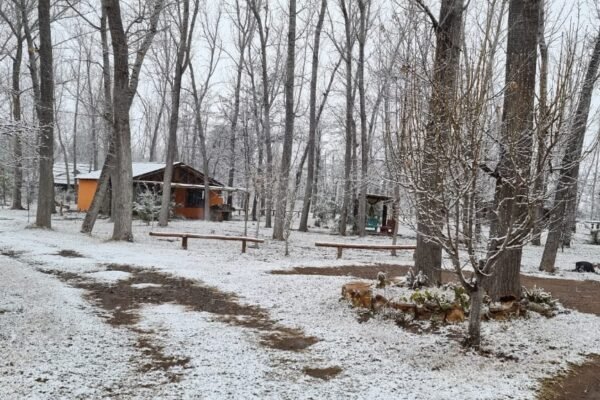 WhatsApp Image 2025-12-26 at 1.54.08 PM