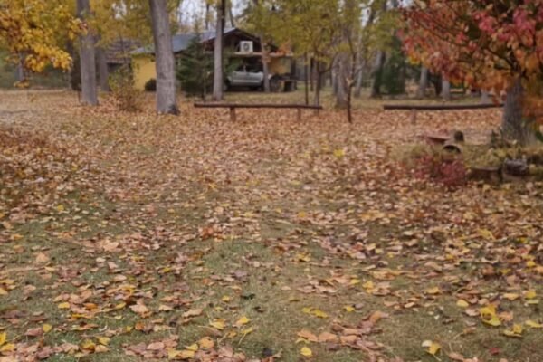 WhatsApp Image 2025-12-26 at 1.54.10 PM (1)