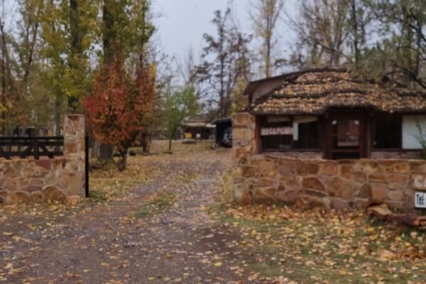 WhatsApp Image 2025-12-26 at 1.54.10 PM (2)