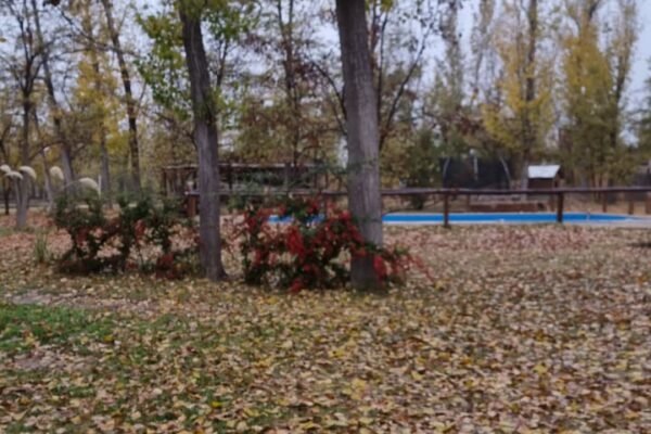 WhatsApp Image 2025-12-26 at 1.54.11 PM (1)