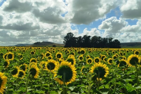 WhatsApp Image 2026-03-01 at 11.25.16