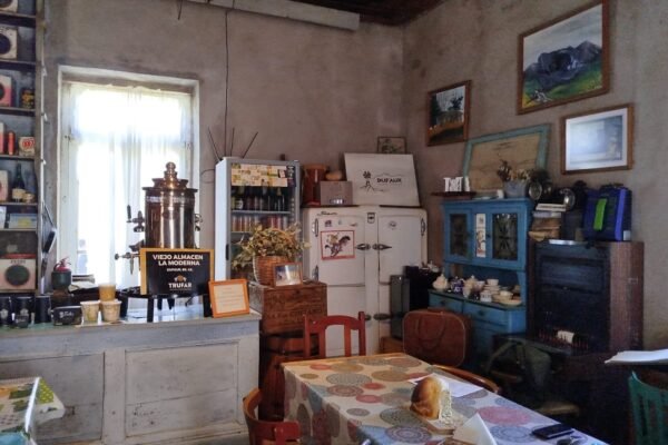 WhatsApp Image 2026-03-01 at 11.25.17