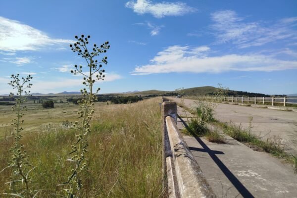 WhatsApp Image 2026-03-01 at 11.41.54