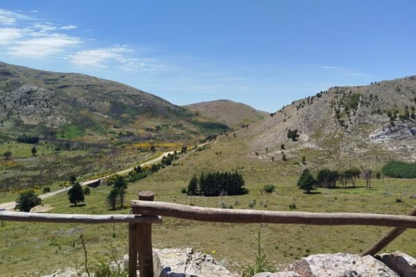 WhatsApp Image 2026-03-01 at 11.41.58 (1)