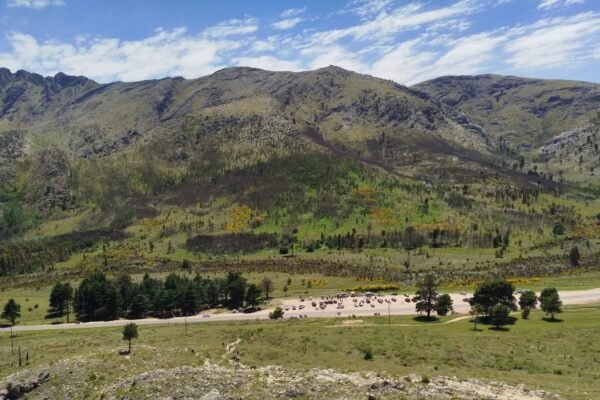 WhatsApp Image 2026-03-01 at 11.42.00