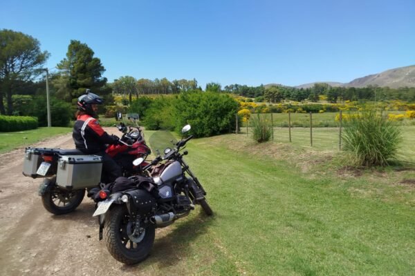 WhatsApp Image 2026-03-01 at 11.42.02