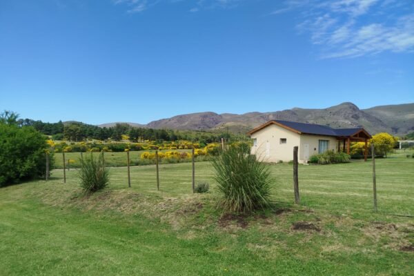 WhatsApp Image 2026-03-01 at 11.42.04