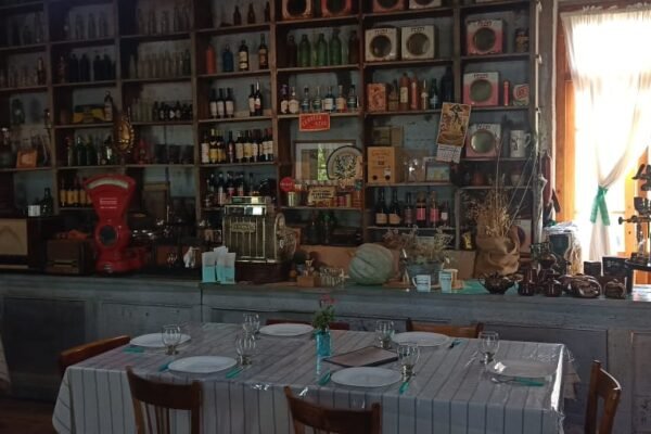 WhatsApp Image 2026-03-23 at 20.35.46