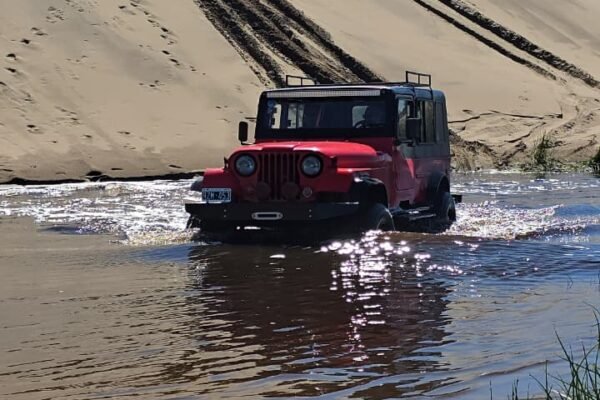 WhatsApp Image 2026-04-07 at 3.21.44 PM (2)